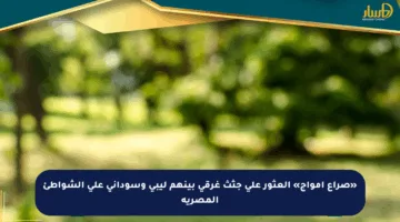 «صراع أمواج» العثور على جثث غرقى بينهم ليبي وسوداني على الشواطئ المصرية